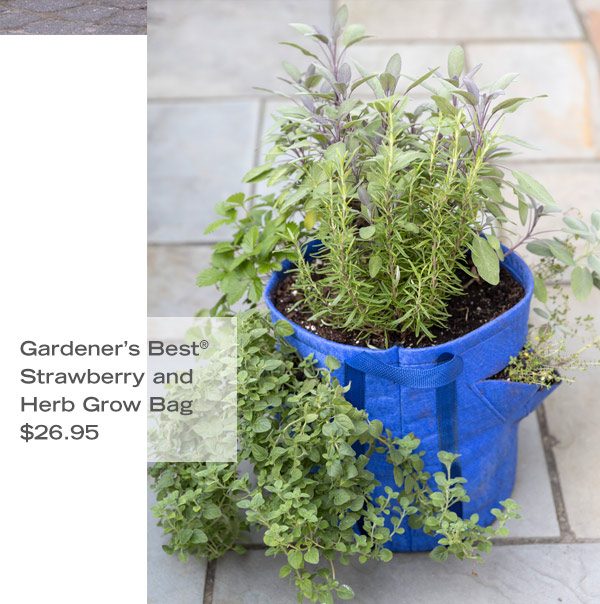 Grow Outside! Pictured: Gardener's Best Strawberry and Herb Grow Bag $26.95