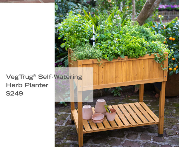 Pictured: VegTrug Self-Watering Herb Planter $249.00