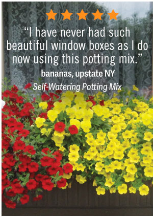 “I have never had such beautiful window boxes as I do now using this potting mix.” - bananas, NY - self watering potting mix