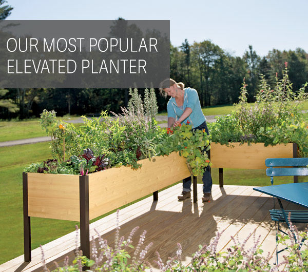 Our Most Popular Elevated Planter