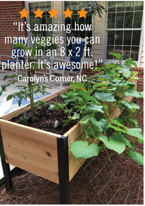 “It’s amazing how many veggies you can grow in an 8 x 2 ft. planter. It’s awesome!” Carolyn's Corner, North Carolina