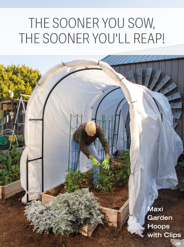 The sooner you sow, the sooner you'll reap! Pictured: Maxi Garden Hoops with Clips