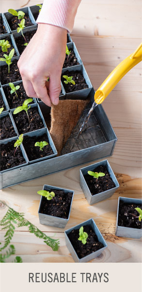 Shop Reusable Trays