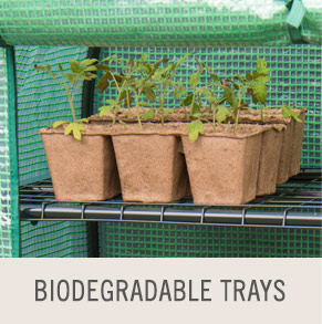 Shop Biodegradable Trays