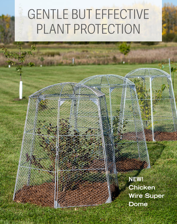 Gentle But Effective Plant Protection. Pictured: New! Chicken Wire Super Dome