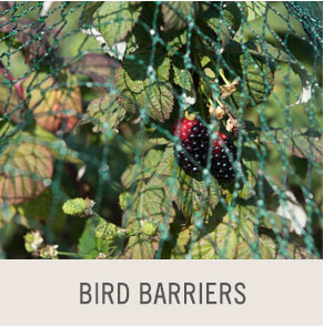 Bird Barriers. Pictured: Bird-Safe Woven Bird Netting