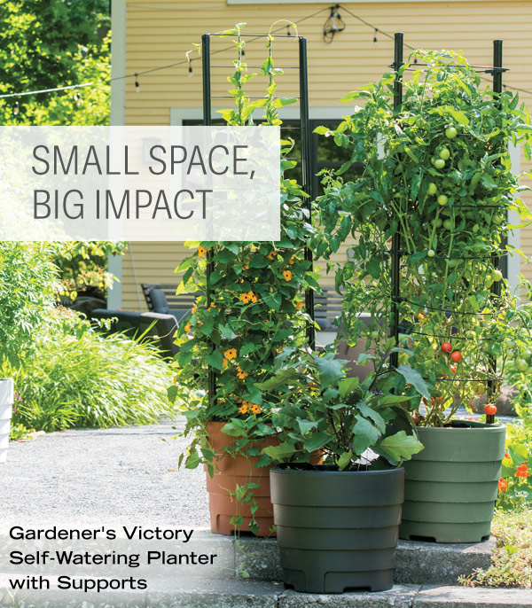 Small Space, Big Impact! Gardener's Victory Self-Watering Planter with Supports