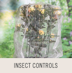 Shop Insect Controls