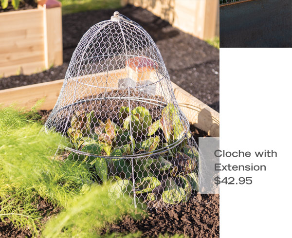 Cloche with Extension, $42.95