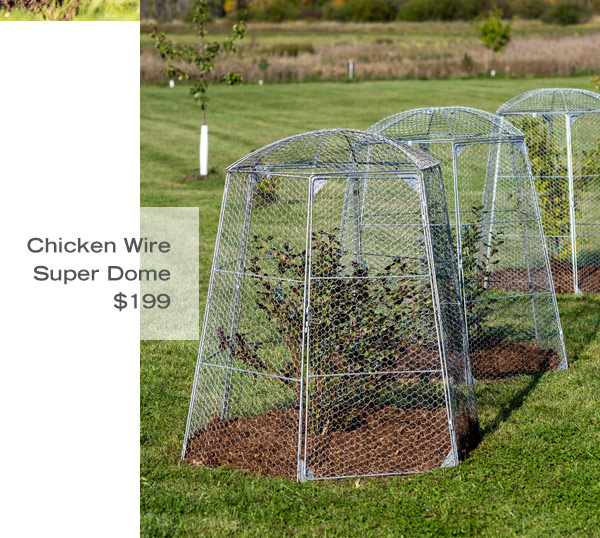 Chicken Wire Super Dome, $84.95