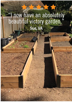 Five-star Review: "I now have an absolutely beautiful victory garden." Sue, VA