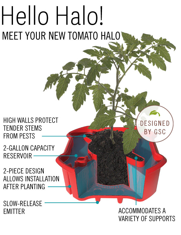 Hello Halo! Meet your new tomato halo. High walls protect tender stems from pests. 2-Gallon capacity reservoir. 2-piece design allows installation after planting. Slow-release emitter. Accommodates a variety of supports. Designed by GSC.