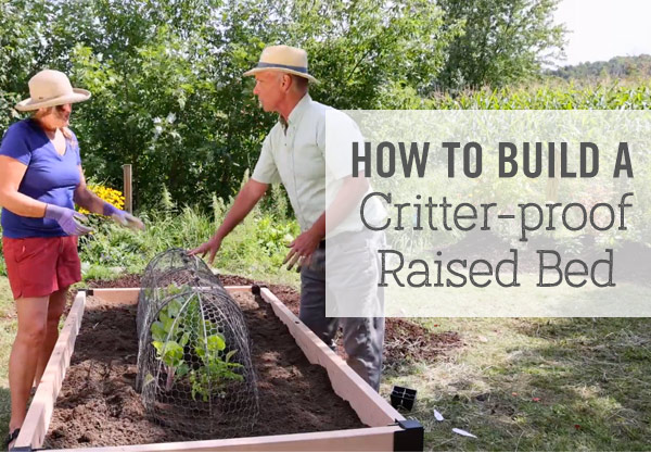 How to Build a Critter-proof Raised Bed