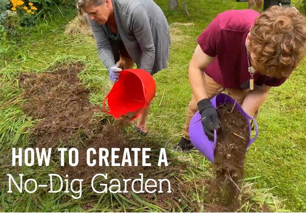 How to Create A No-Dig Garden