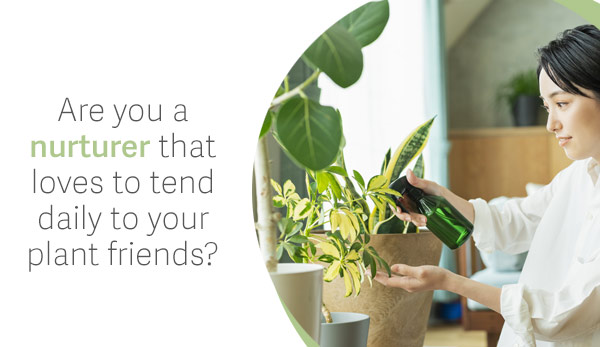 Are you a nurturer that loves to tend daily to your plant friends?