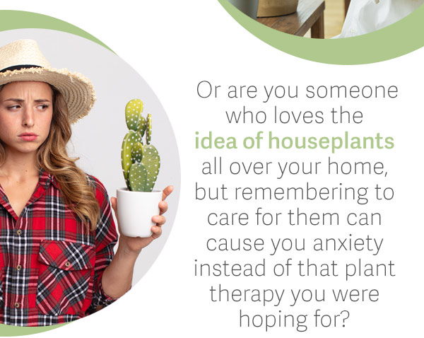 Or are you someone who loves the idea of plants all over your home, but remembering to care for them can cause you anxiety instead of that plant therapy you were hoping for?