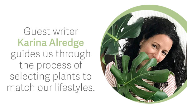 Guest writer Karina Alredge guides us through the process of selecting plants to match our lifestyles.