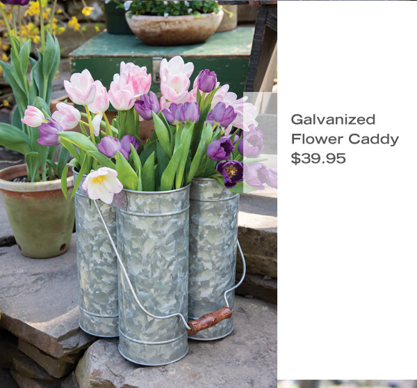 Galvanized Flower Caddy, $39.95