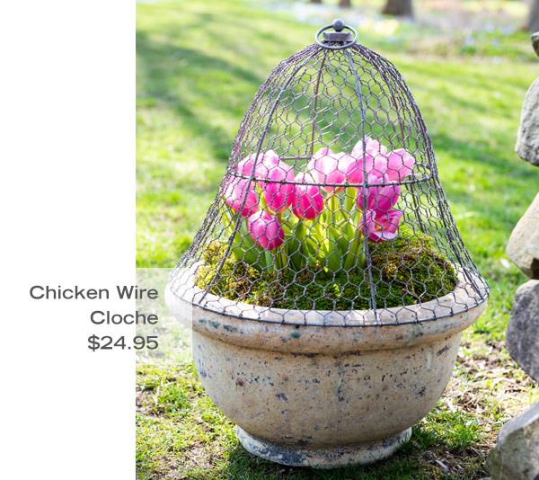 Chicken Wire Cloche, $24.95