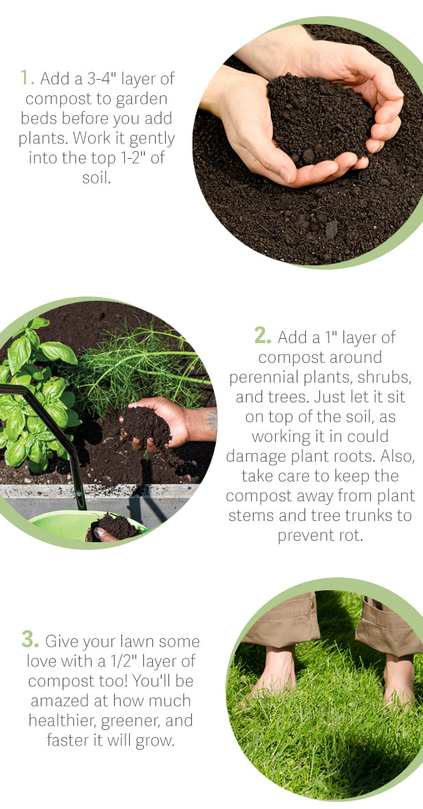 1: Add a 3-4" layer of compost to garden beds before you add plants. work is gently into the top 1-2" of soil. 2: Add a 1" layer of compost around perennial plants, shrubs, and trees. Just let it sit on top of the soil, as working it in could damage plant roots. Also, take care to keep the compost away from plant stems and tree trunks to prevent rot. 3: Give your lawn some love with a 1/2" layer of compost too! You'll be amazed at how much healthier, greener and faster it will grow.