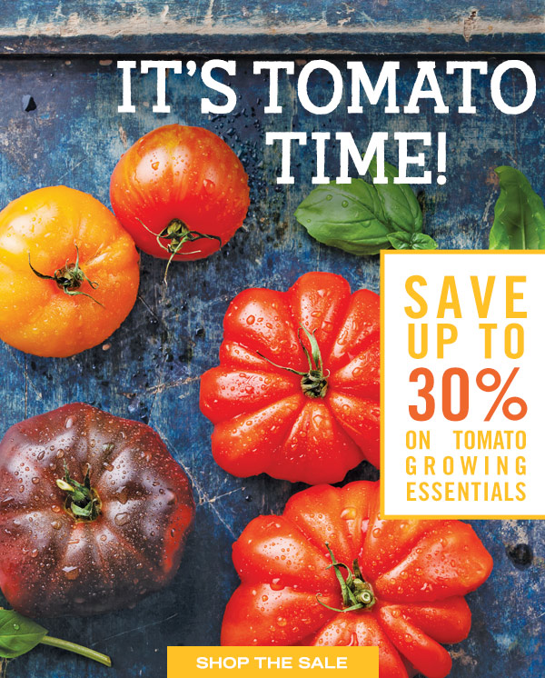 It's Tomato Time! Save up to 30% on Tomato Growing Essentials. Shop the Sale