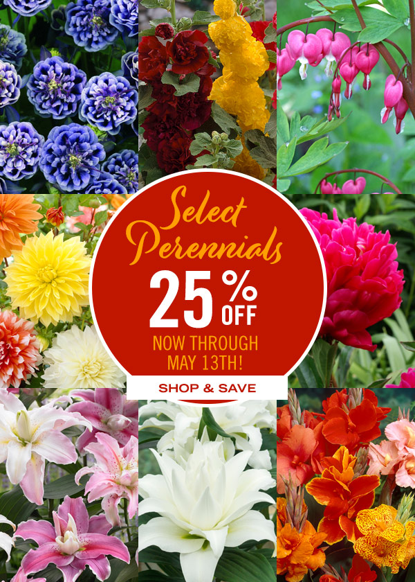 Select Perennials 25% off now through May 13th! Shop & Save