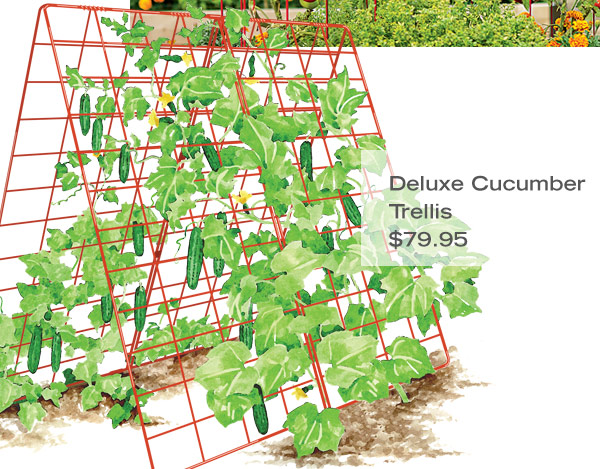 Deluxe Cucumber Trellis, $79.95