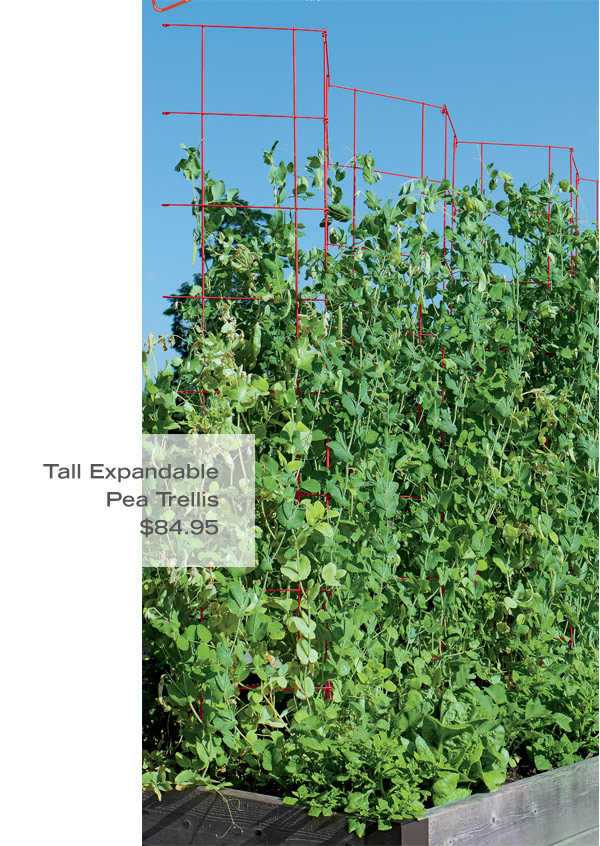 Tall Expandable Pea Trellis, $84.95