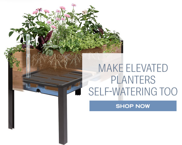 Male Elevated Planters Self Watering Too! Shop now.