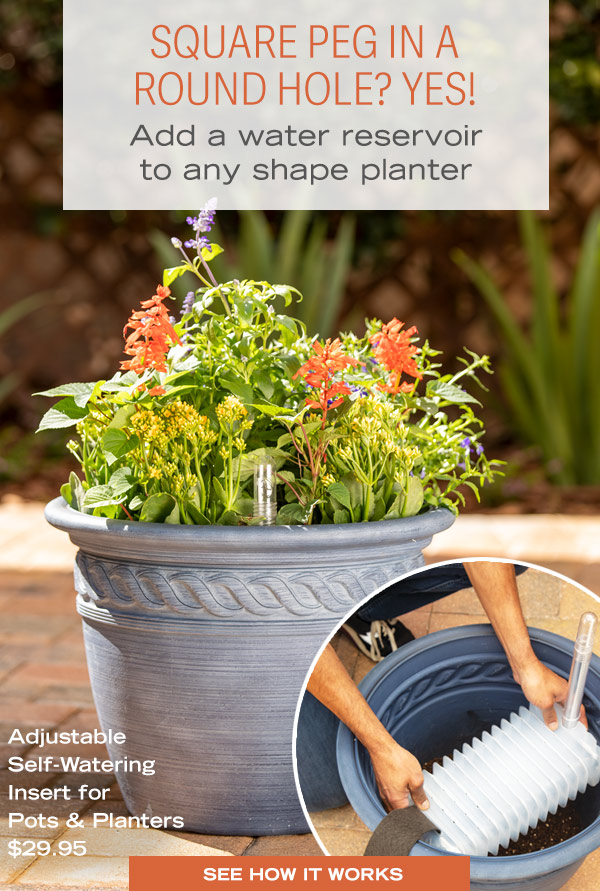 Square Peg in a Round Hole? Yes! Ass a water reservoir to any shape planter. Pictured: Adjustable self-watering insert for pots & planters $29.95