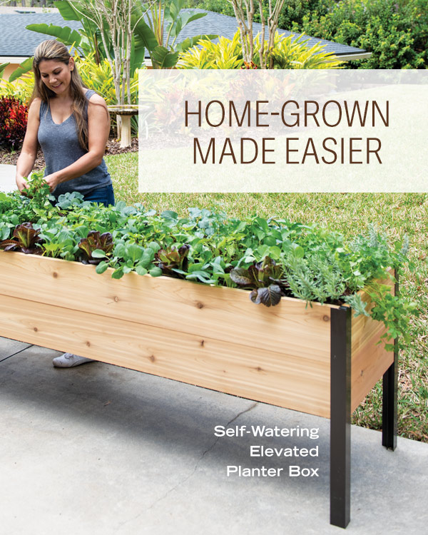 Home-Grown Made Easier - Pictured: Self-Watering Elevated Planter Box