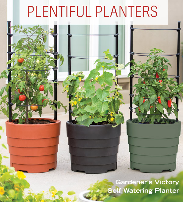 Plentiful Planters - Gardener's Victory Self-Watering Planter