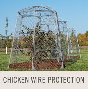 Shop Chicken Wire Protection