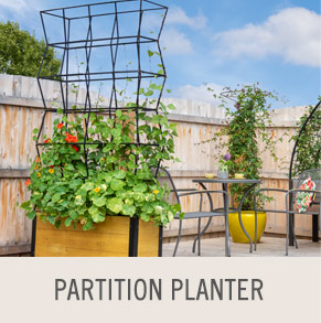 Partition Planter