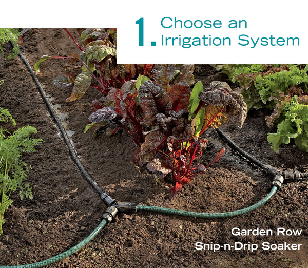 1. Choose an Irrigation System. Pictured: Garden Row Snip-n-Drop Soaker  % Garden Row Ship-n-Drip. Soqker 