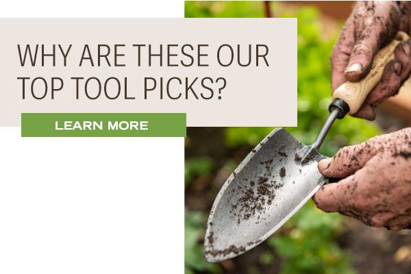 Why Are These Our Top Tool Picks? Learn More!