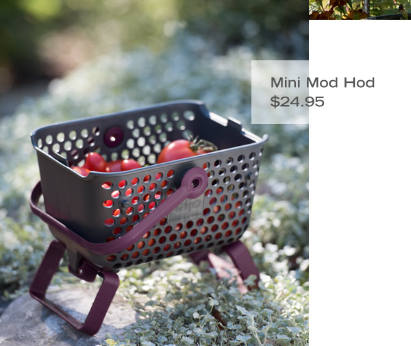 Pictured: Mini Mod Hod $24.95