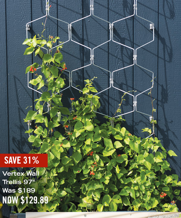 Pictured: Vertex Wall Trellis 97" Was $74.95, Now $52.89