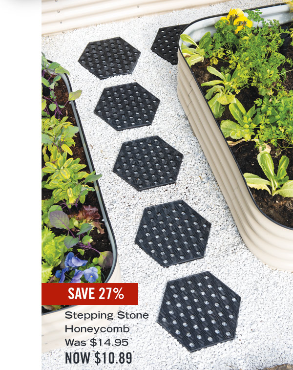 Save 27% Pictured: Stepping Stone Honeycomb was $14.95, Now $10.89