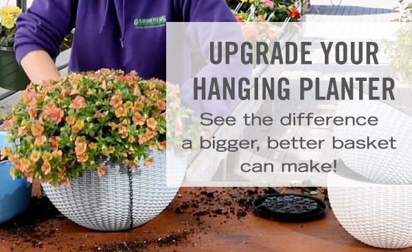 Upgrade Your Hanging Planter. See the Difference a Bigger, Better Basket can make!