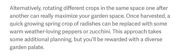 Alternatively, rotating different crops in the same space one after another can really maximize your garden space. Once harvested, a quick growing spring crop of radishes can be replaced with some warm weather-loving peppers or zucchini. This approach takes some additional planning, but you’ll be rewarded with a diverse garden palate.