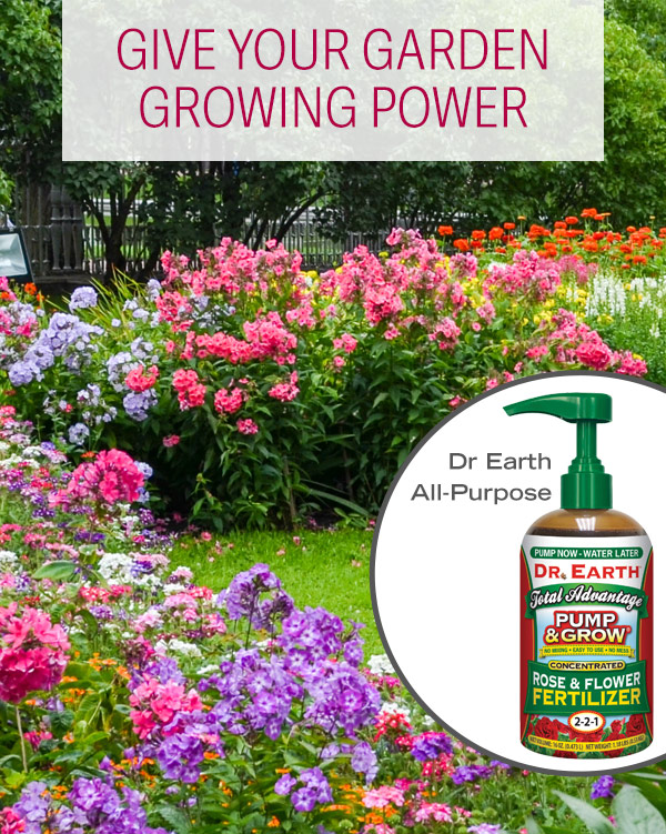 Give your garden growing power. Pictured: Dr. Earth All-Purpose Rose & Flower Fertilizer