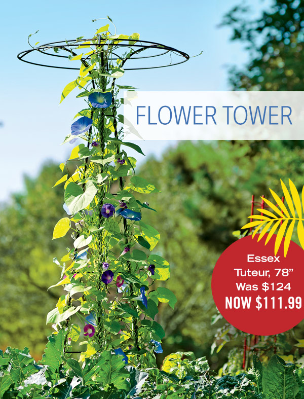 Flower Tower. Pictured: Essex Tuteur, 78" Was $124 Now $111.99