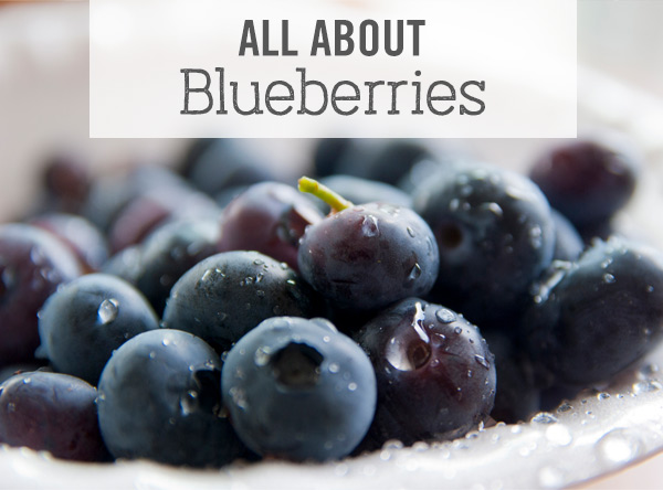 All About Blueberries