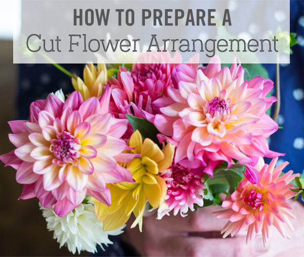 How to Prepare a Cut Flower Arrangement