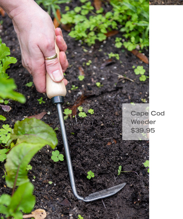 Cape Cod Weeder, $39.95