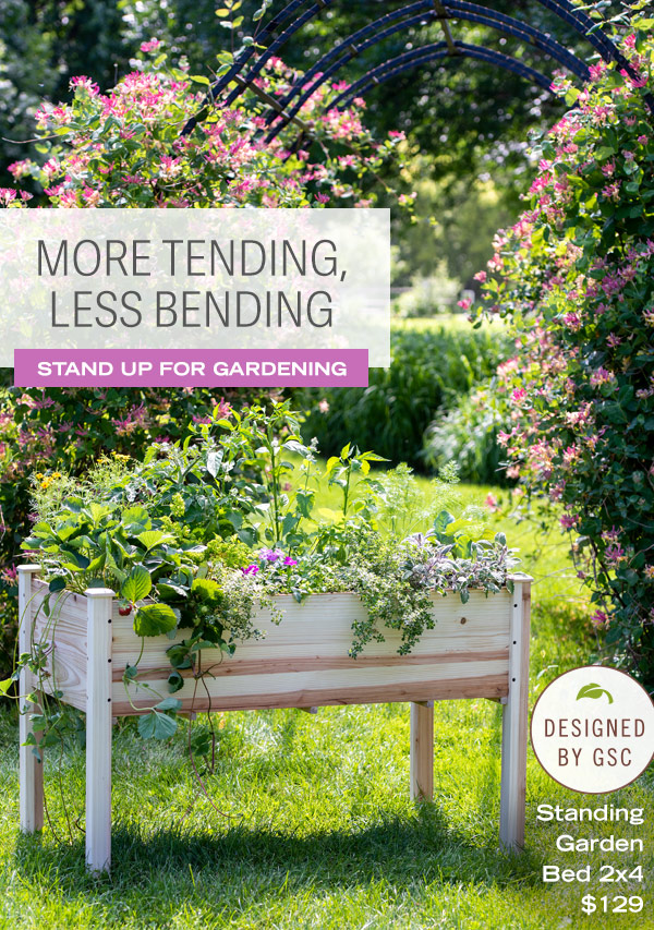 More Tending, Less Bending - Stand up for gardening - Standing Garden Bed 2x4