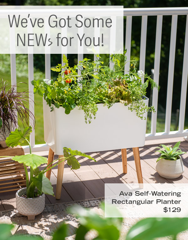 We've Got Some NEWs for You! Pictured: Ava Self-Watering Rectangular Planter, $129