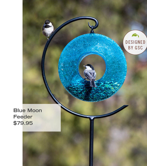 Pictured: Blue Moon Feeder (Designed by GSC) $79.95