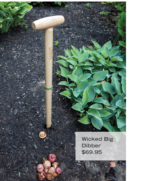 Pictured: Wicked Big Dibber, $69.95